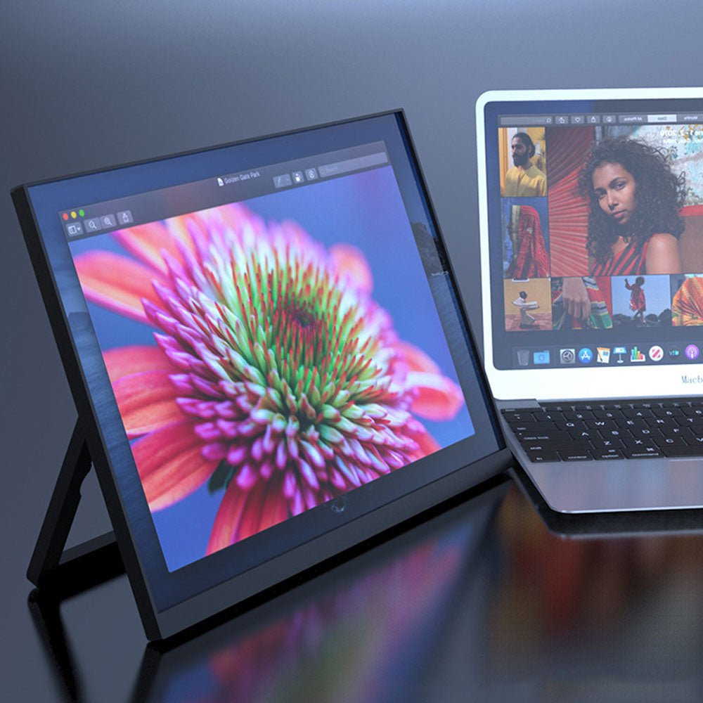 ApexVision 16 - inch Portable Monitor - Moderno Collections