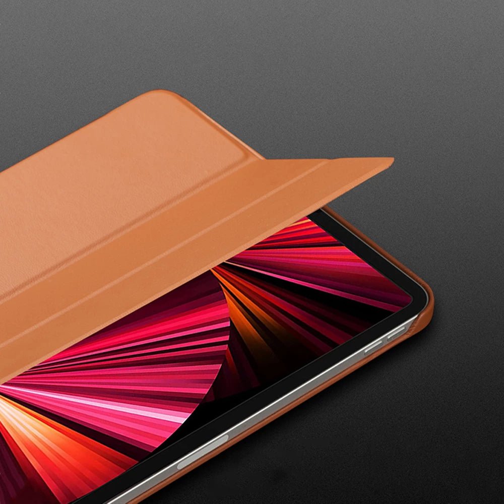 Prosnap Genuine Leather ProSnap iPad Case – Moderno Collections